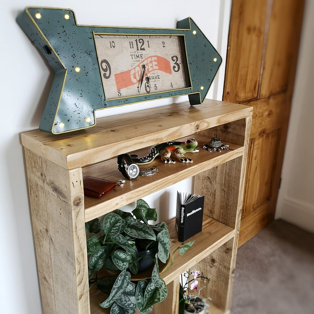 A rustic bookcase unit with plants
